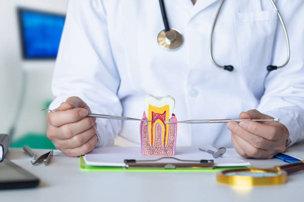 Best Emergency Root Canal Treatment in Gardner, MA